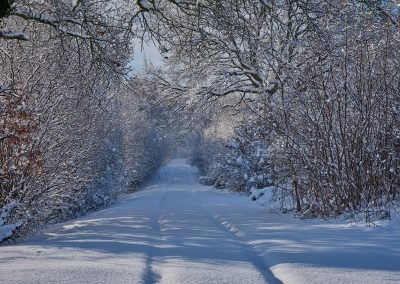 Winterimpressionen in Schleswig-Holstein